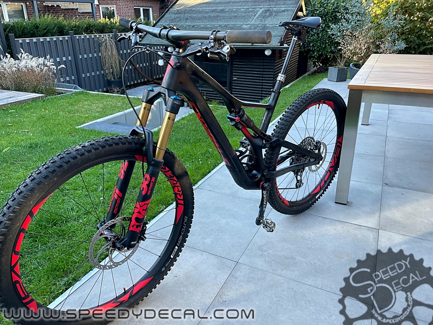 Specialized S-Works Stumpjumper ST Carbon 2019 - kit adesivi telaio