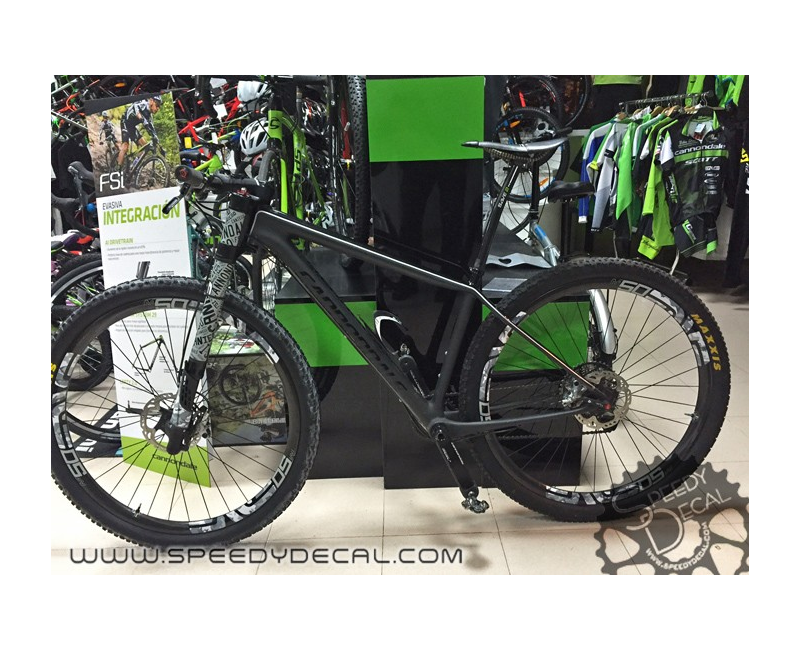 Adesivo paracolpi per Cannondale Lefty 2.0 anno 2015 Adesivo paracolpi per Cannondale Lefty 2.0 anno 2015