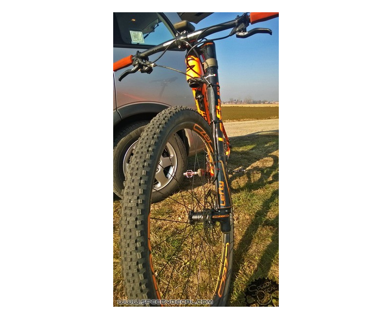 Adesivo paracolpi per Cannondale Lefty 2.0 anno 2015 Adesivo paracolpi per Cannondale Lefty 2.0 anno 2015