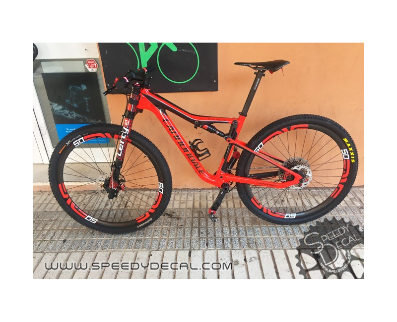 Adesivo paracolpi per Cannondale Lefty 2.0 anno 2015 Adesivo paracolpi per Cannondale Lefty 2.0 anno 2015