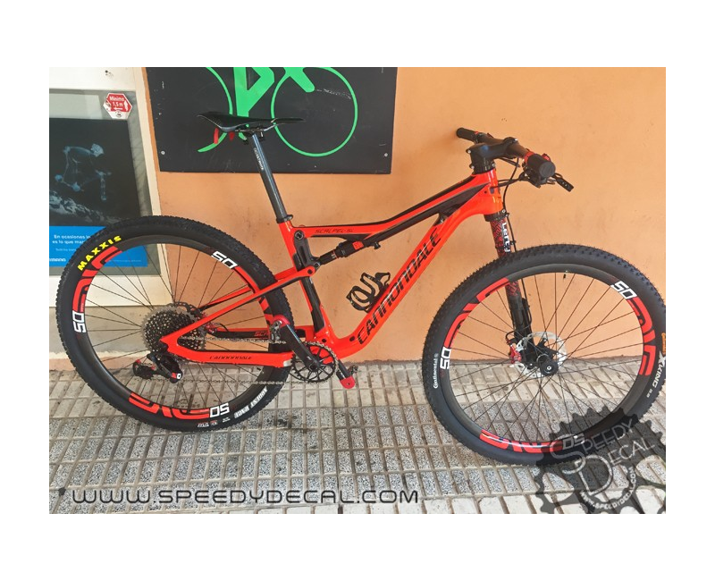 Adesivo paracolpi per Cannondale Lefty 2.0 anno 2015 Adesivo paracolpi per Cannondale Lefty 2.0 anno 2015