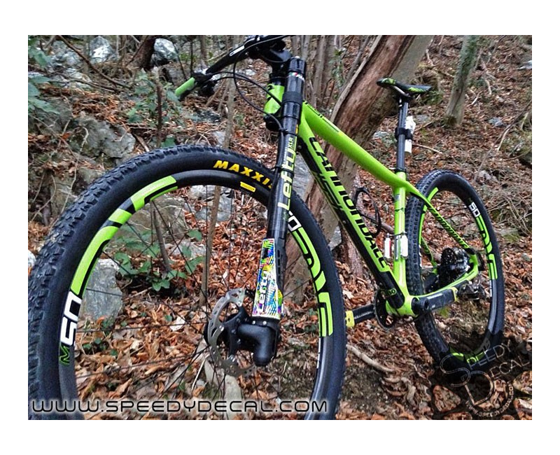 Adesivo paracolpi per Cannondale Lefty 2.0 anno 2015 Adesivo paracolpi per Cannondale Lefty 2.0 anno 2015