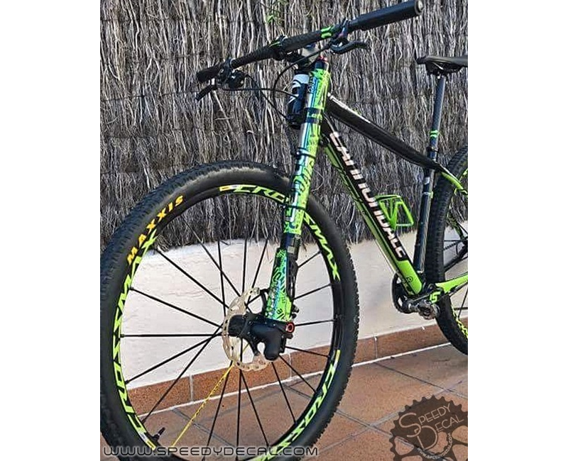 Adesivo paracolpi per Cannondale Lefty 2.0 anno 2015 Adesivo paracolpi per Cannondale Lefty 2.0 anno 2015